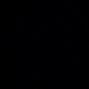 Meet your Posher, Latasha